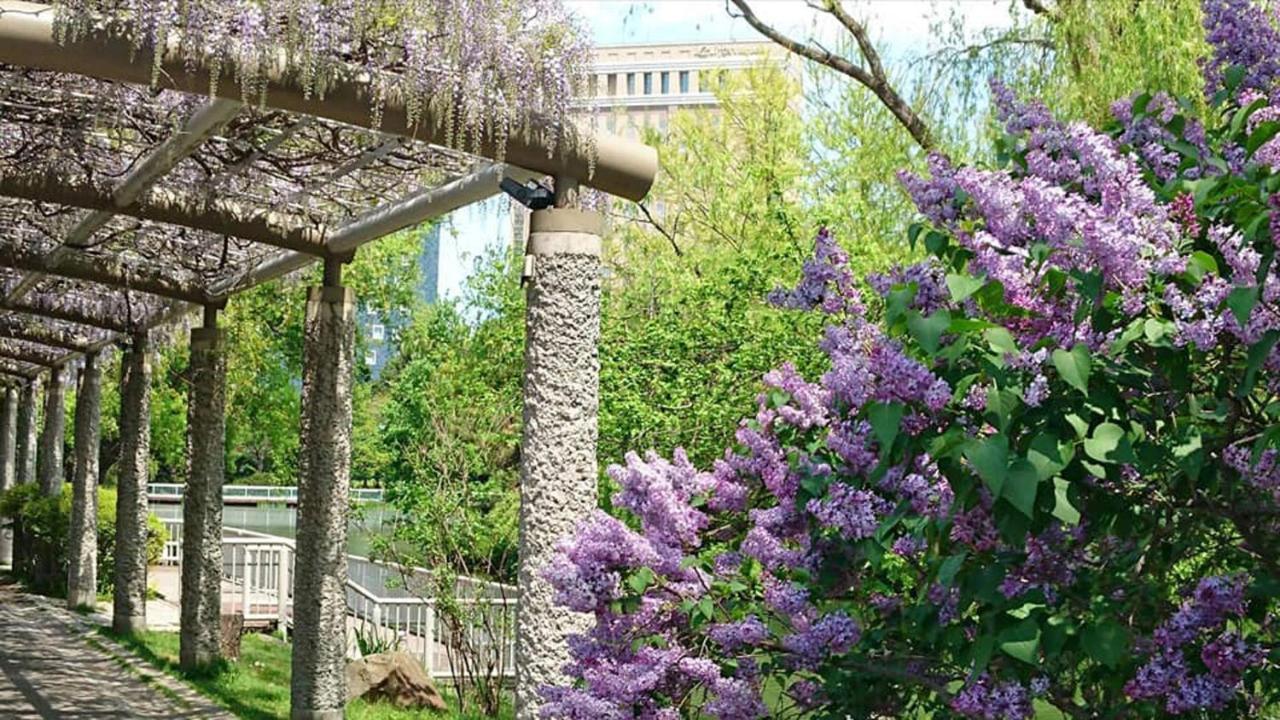 Hotel Lifort Саппоро Екстер'єр фото
